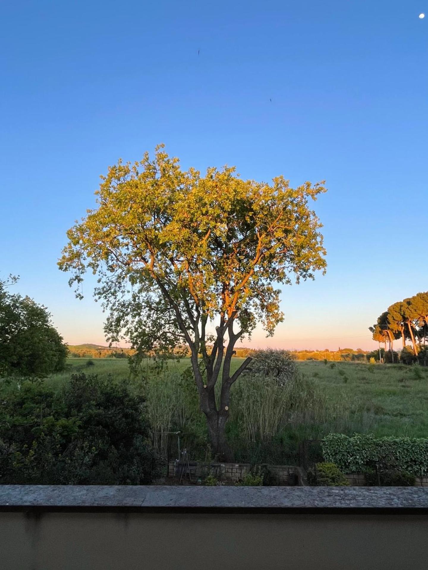 La Quercia Holiday Home Capalbio Esterno foto